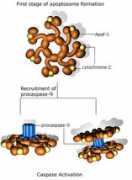 reading.ac.uk Nitric