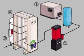 magnitalia.com Nitrogen