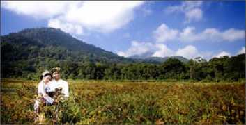 undanganku.info Nityasa
