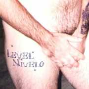 songfight.org Nivelo