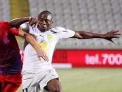 Njongo