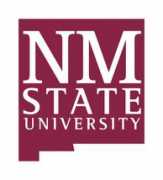 nuclear.physics.nmsu.edu Nmsu