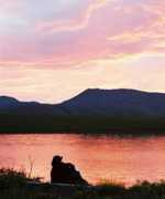 nature.nps.gov Noat