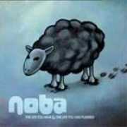 Noba