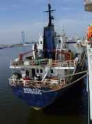 spanishshipping.com Nobleza