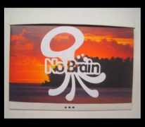 painbucket.com Nobrain