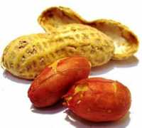travelblog.it Nocciolino