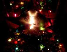 artwanted.com Nochebuena
