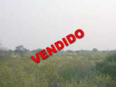 tierrasycampos.com.ar Nochero