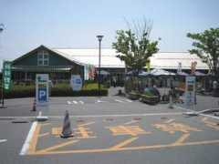 Noeki