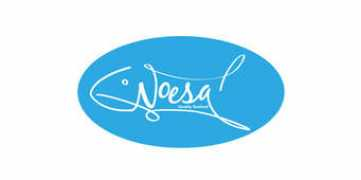 mythuat24h.net Noesa