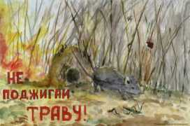 chepetsk.ru Nofire