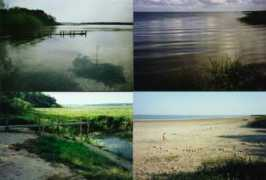 Noges