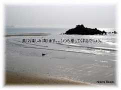 yokahana.com Nogita
