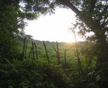 panoramio.com Nogueras