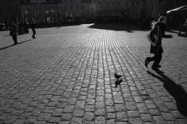 sepp.offline.ee Nojah