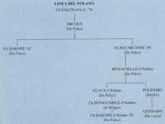 difossombrone.it Nolano