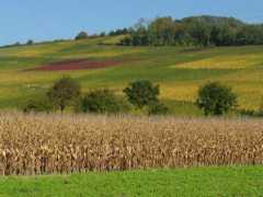 frsw.de Nollenberg