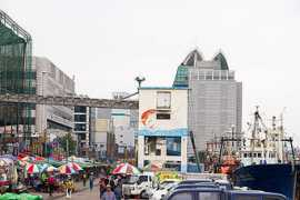 busan.for91days.com Nompo