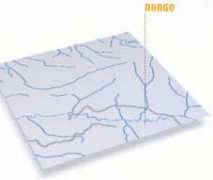 Nongo