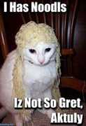 hahastop.com Noodlez