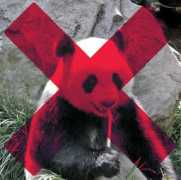 now-here-this.timeout.com Nopanda