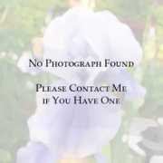 brightonparkiris.com Nophoto