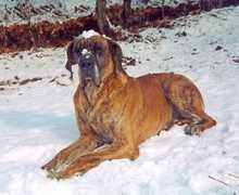 norach.cz Norach