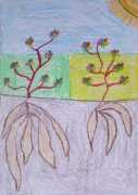 iearn.org.au Noretta