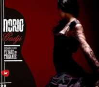 flamencodescalzo.com Norig