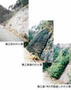japanese.reader.bz Norimen