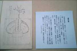 inoues.net Norinaga