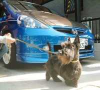 honda.co.jp Noritomo