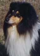 Norky