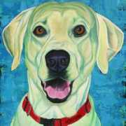 paintedpups.com Norman