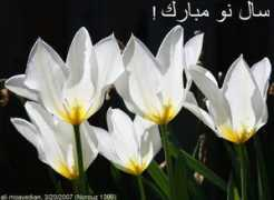payvand.com Norouz