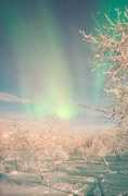 sunna.info Northen