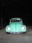 lovemybug.com Nosdivad