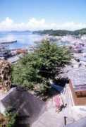ar40.fc2web.com Noshima