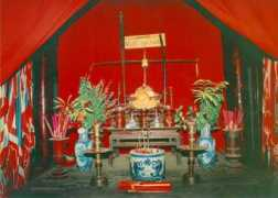 vietspring.org Nothan