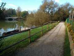 zanovomesto.si Notola