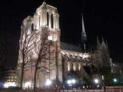 savagesteve.net Notredame