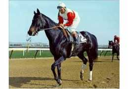 horsechannel.com Nottelling