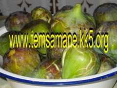 temsamane.kk5.org Noukat