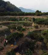 ja-oshima.jp Nouti
