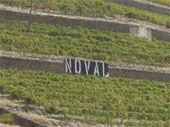 Noval