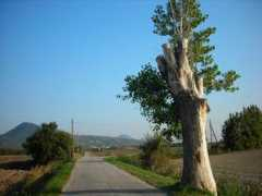 panoramio.com Noventa