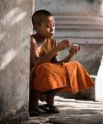 Novice
