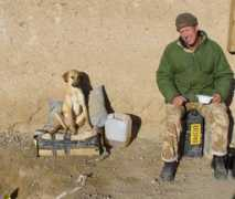 nowzad.com Nowzad