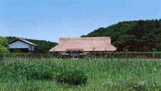 Noyama
